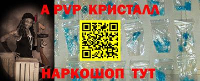 стаф Кинель