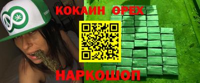 стаф Кинель