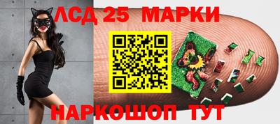 индика Кимры