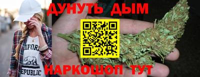 стаф Кинель