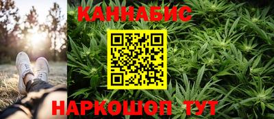 крисы Кингисепп