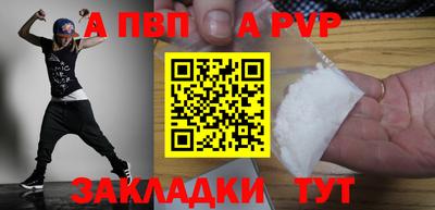 крисы Кингисепп